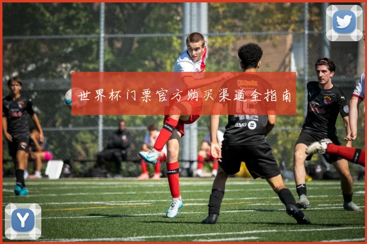世界杯门票官方购买渠道全指南