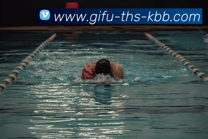 emc易倍官方官网平台生态图