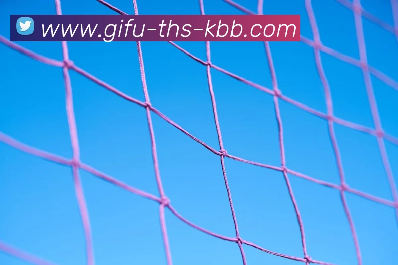 emc易倍官方官网APP 封面图